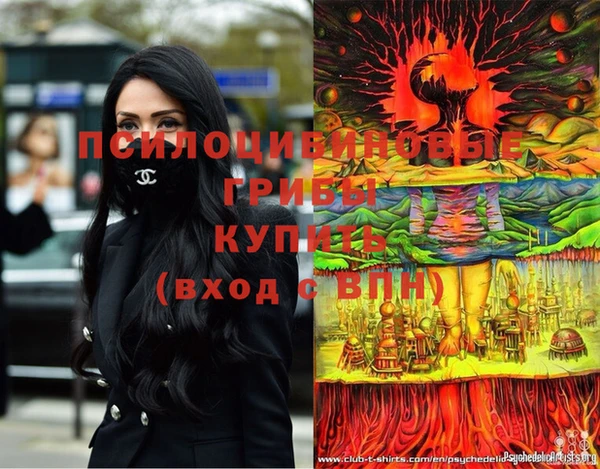 кокс Дмитровск