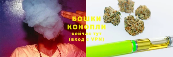 стафф Дмитров
