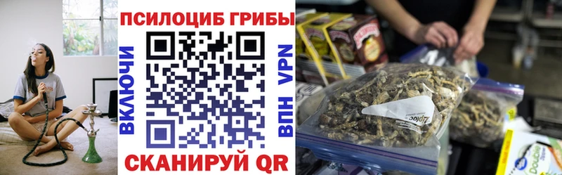 купить наркоту  hydra сайт  Галлюциногенные грибы Psilocybe  Печоры 