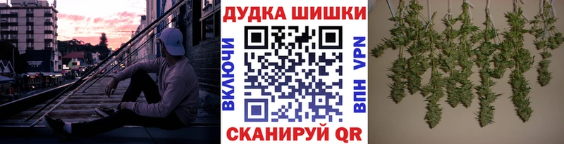 Шишки марихуана гибрид где продают наркотики Печоры